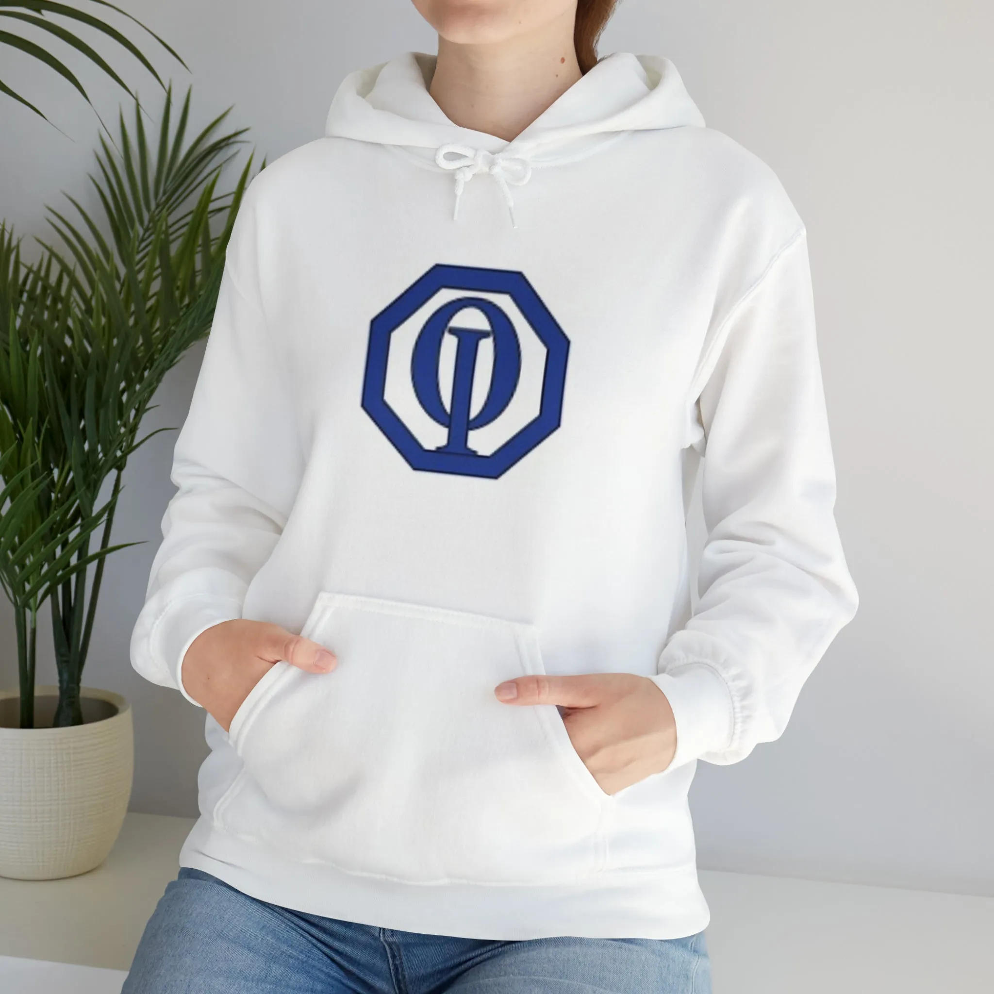 Cooper City Optimist Travel Football Unisex Heavy Blend™ Hooded Sweatshirt