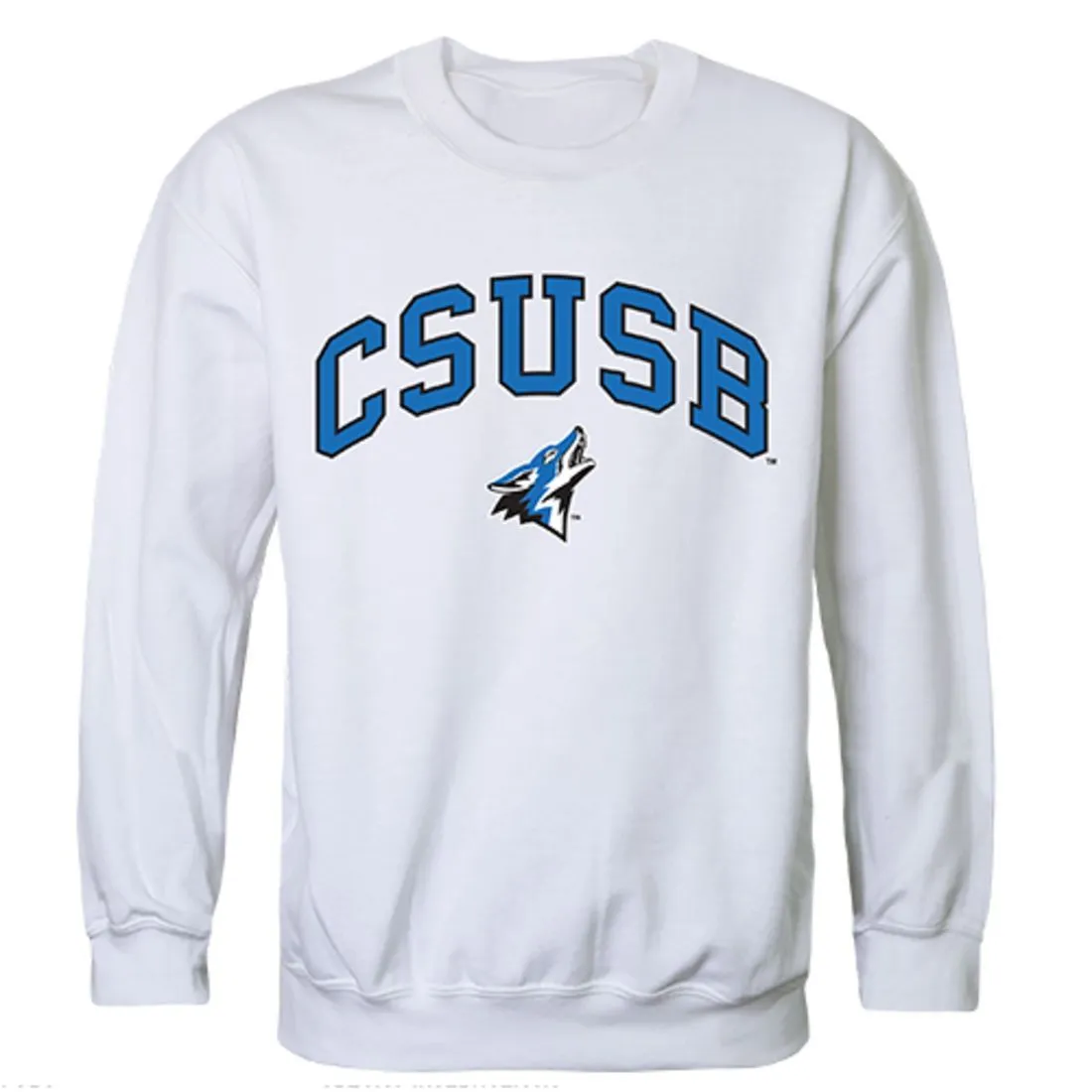 CSUSB California State University San Bernardino Campus Crewneck Pullover Sweatshirt Sweater White