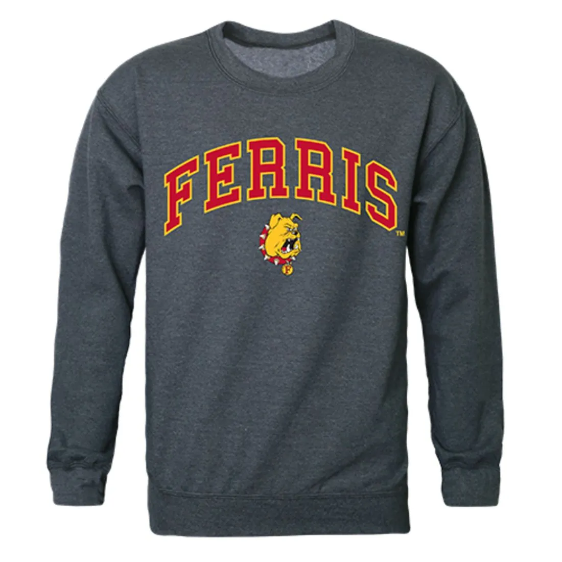 FSU Ferris State University Campus Crewneck Pullover Sweatshirt Sweater Heather Charcoal