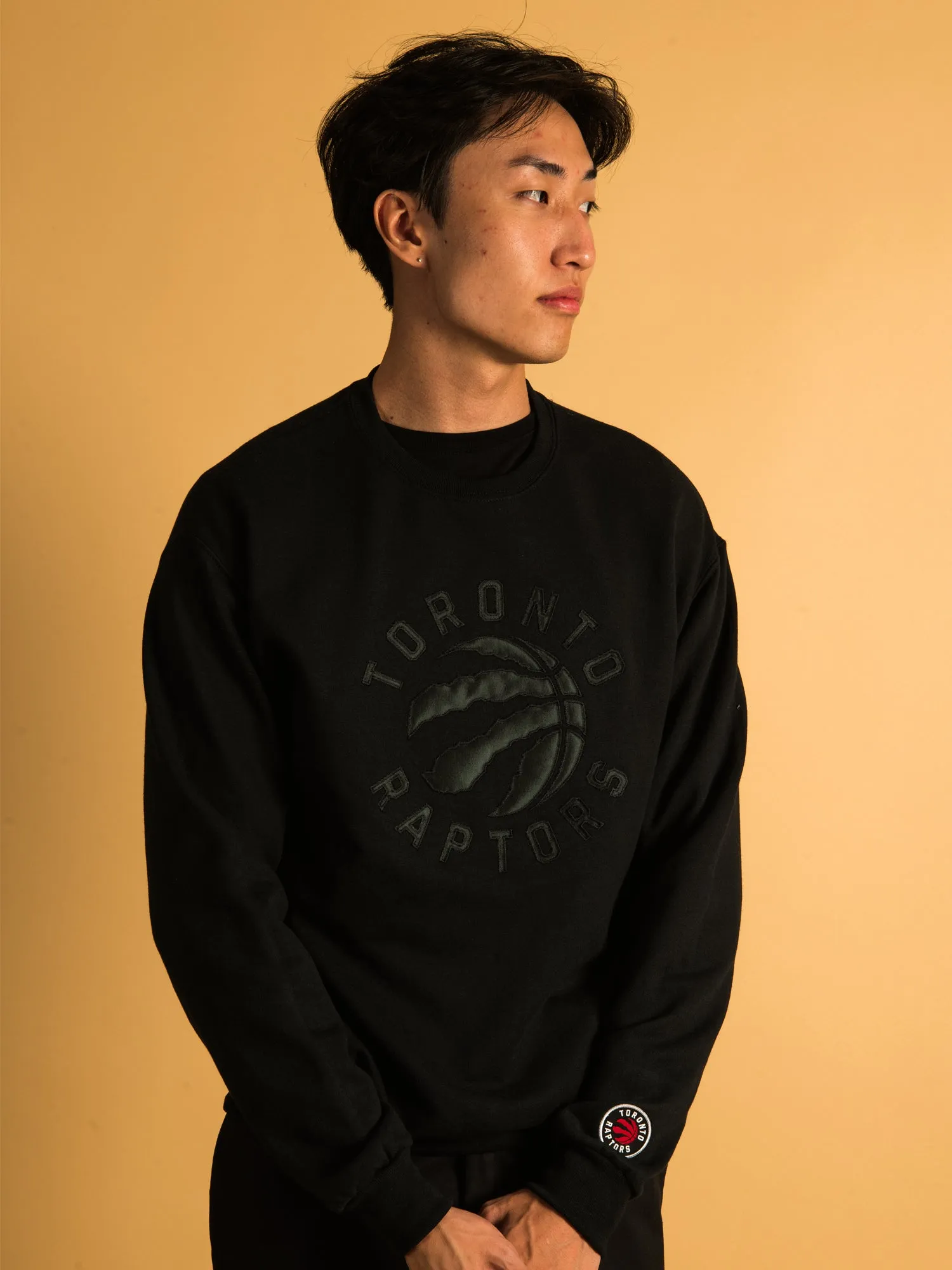 NBA TORONTO RAPTORS TONAL EMBROIDERED CREW