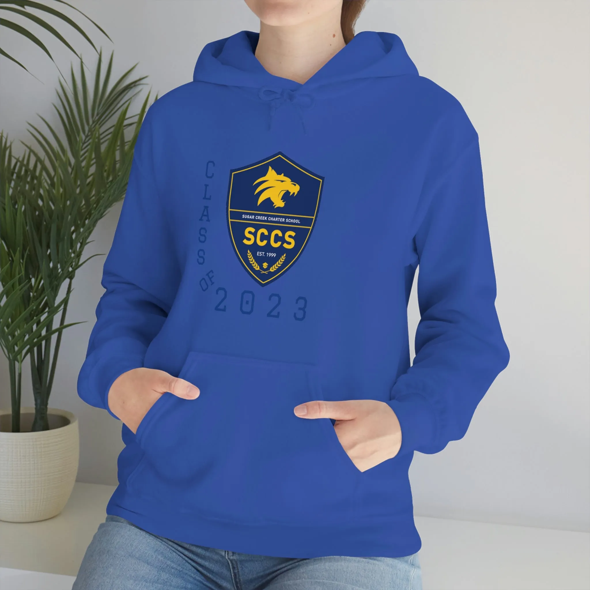 Sugar Creek Charter Class of 2023 Unisex Heavy Blend™ Hooded Sweatshirt